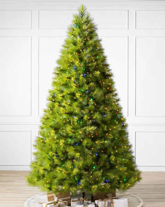 Green Monterey Pine Christmas Tree with Long Branches, Metal Stand and Built-In Colourful Micro LEDs